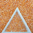(P6) 2mm Picasso Seed Beads - Czech Glass Iridescent Beads for DIY Bracelets Necklaces