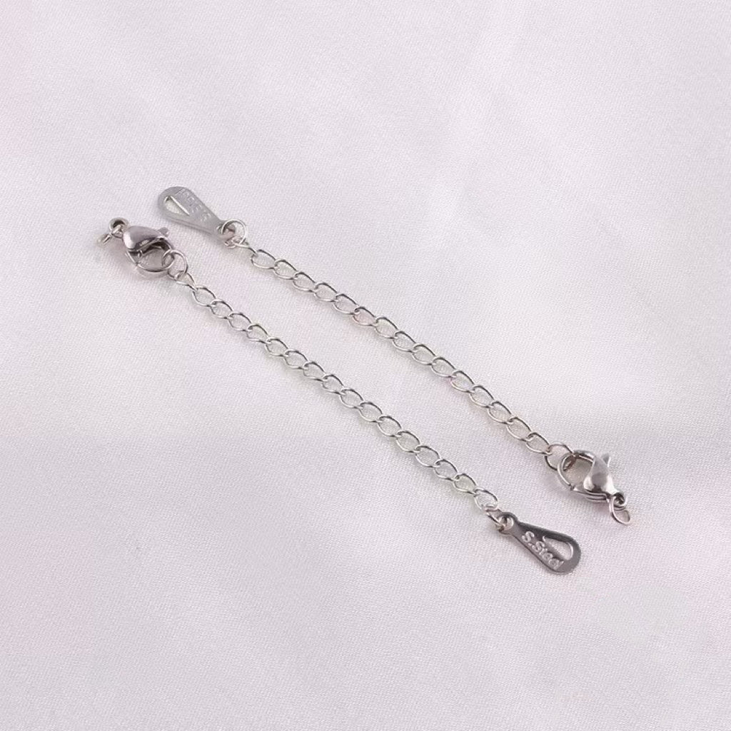 (B10) Special Selected 304 Stainless steel Lobster and extension