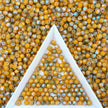 (P18) 3mm Picasso Bicone Beads - DIY Jewelry Making Supplies