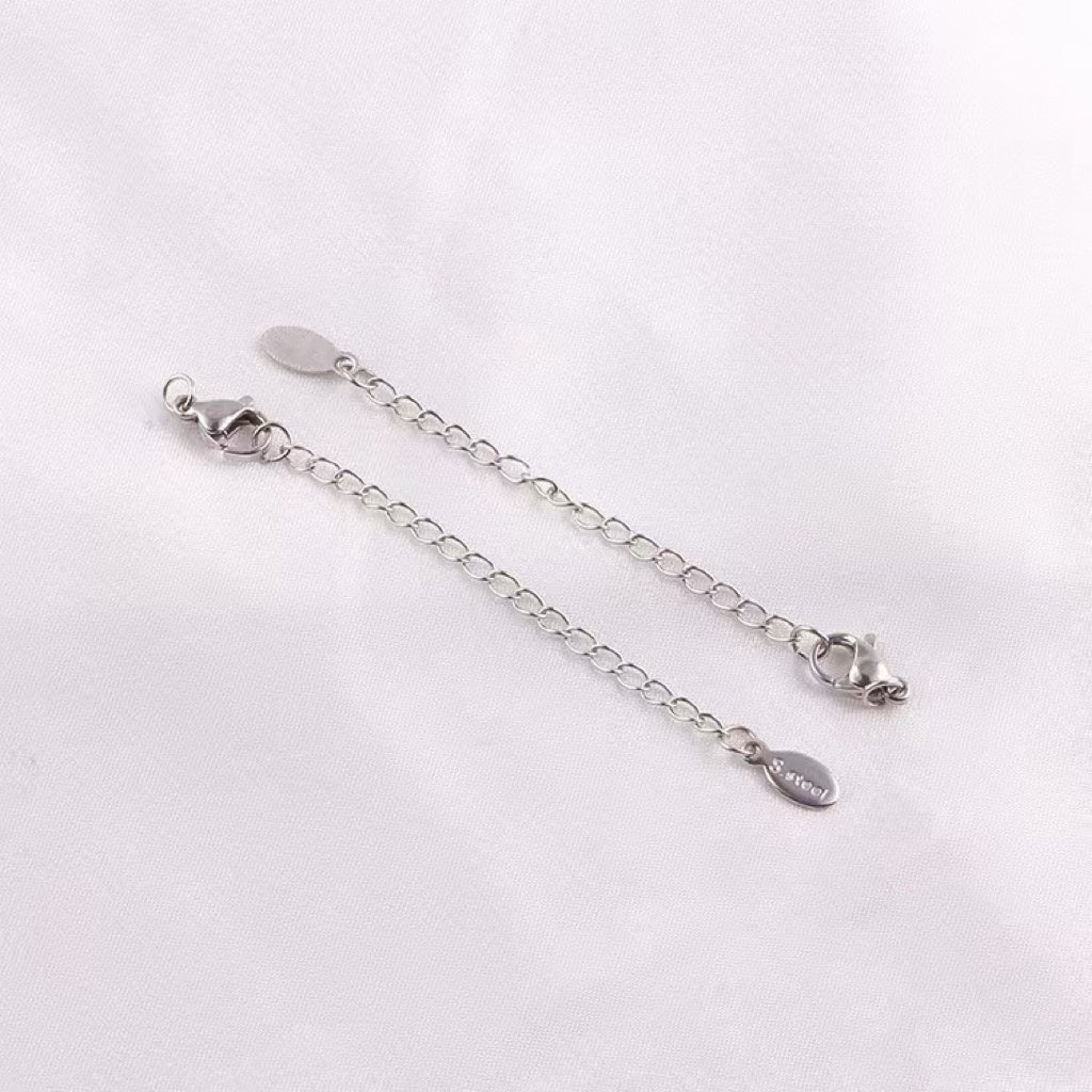 (B10) Special Selected 304 Stainless steel Lobster and extension