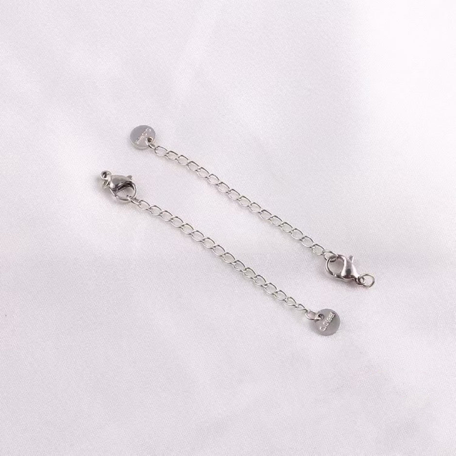 (B10) Special Selected 304 Stainless steel Lobster and extension