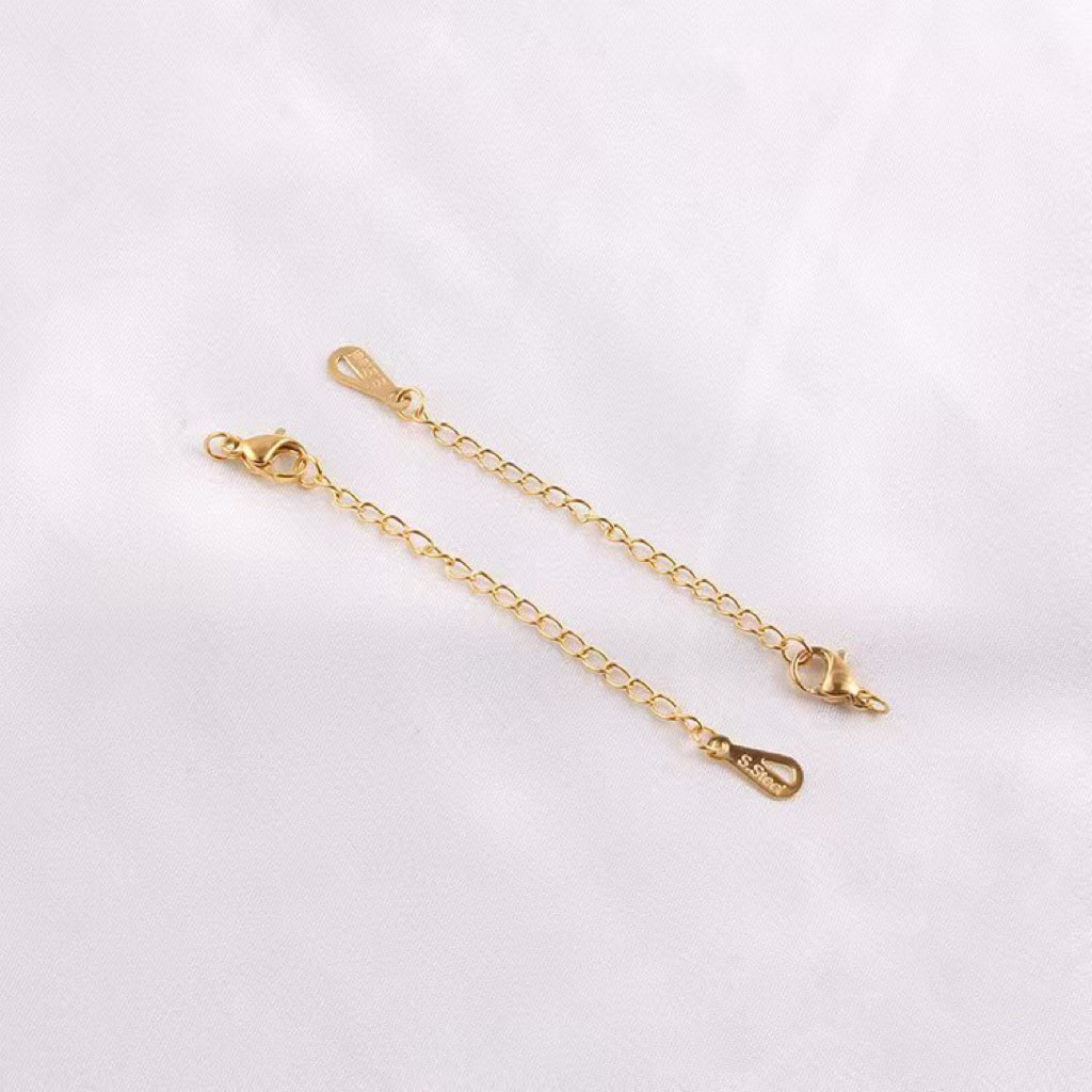(B10) Special Selected 304 Stainless steel Lobster and extension