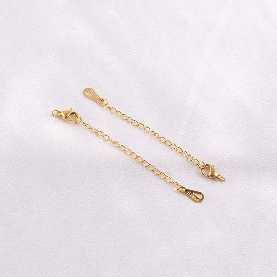 (B10) Special Selected 304 Stainless steel Lobster and extension