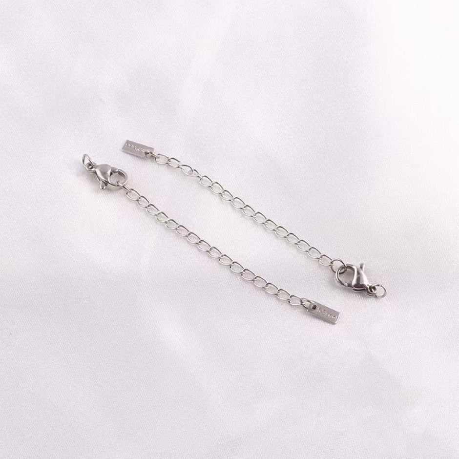 (B10) Special Selected 304 Stainless steel Lobster and extension